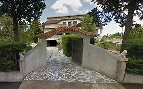 Pinheirinhos - Quinta De Sao Caetano