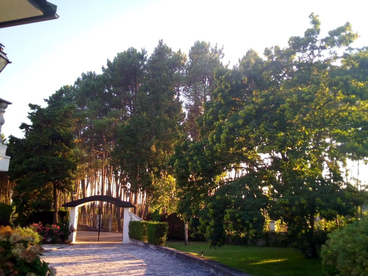 Villa Pinheirinhos - Quinta De Sao Caetano Carapito Exterior foto