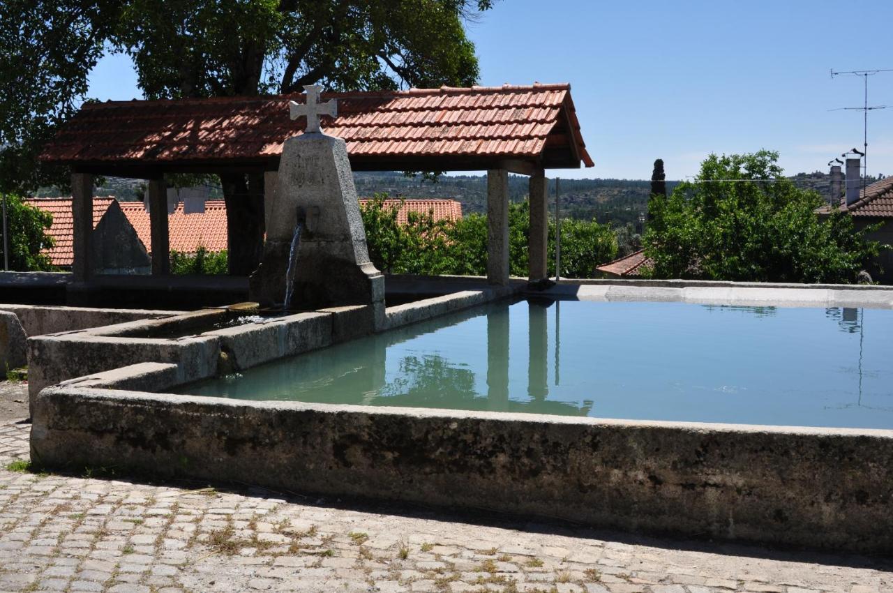 Villa Pinheirinhos - Quinta De Sao Caetano Carapito Exterior foto