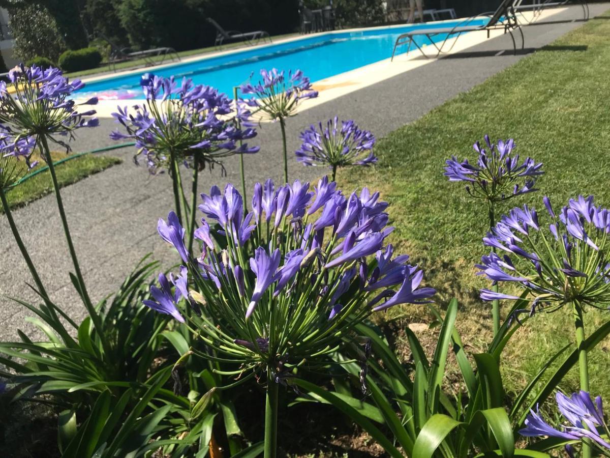 Villa Pinheirinhos - Quinta De Sao Caetano Carapito Exterior foto