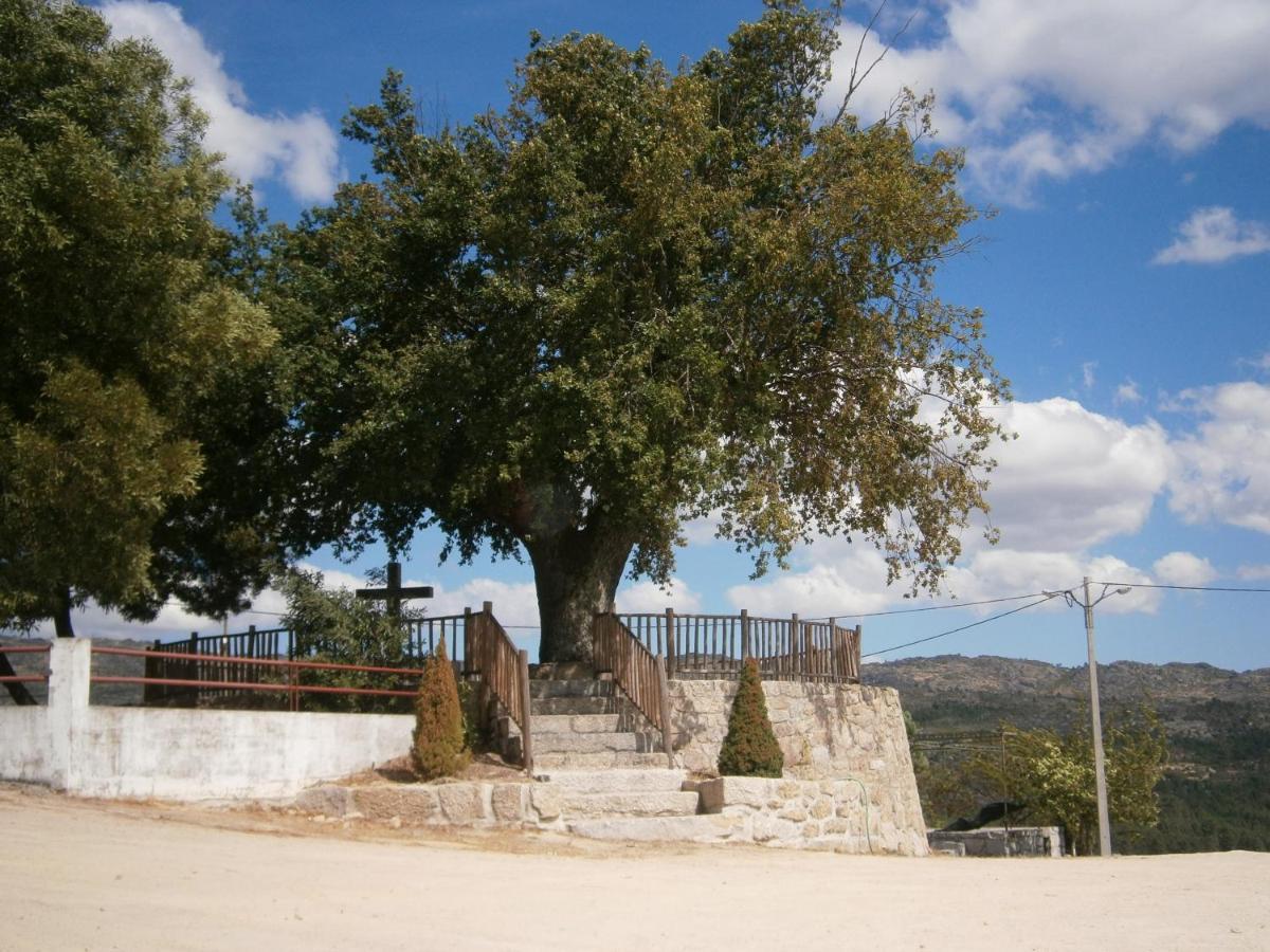 Villa Pinheirinhos - Quinta De Sao Caetano Carapito Exterior foto