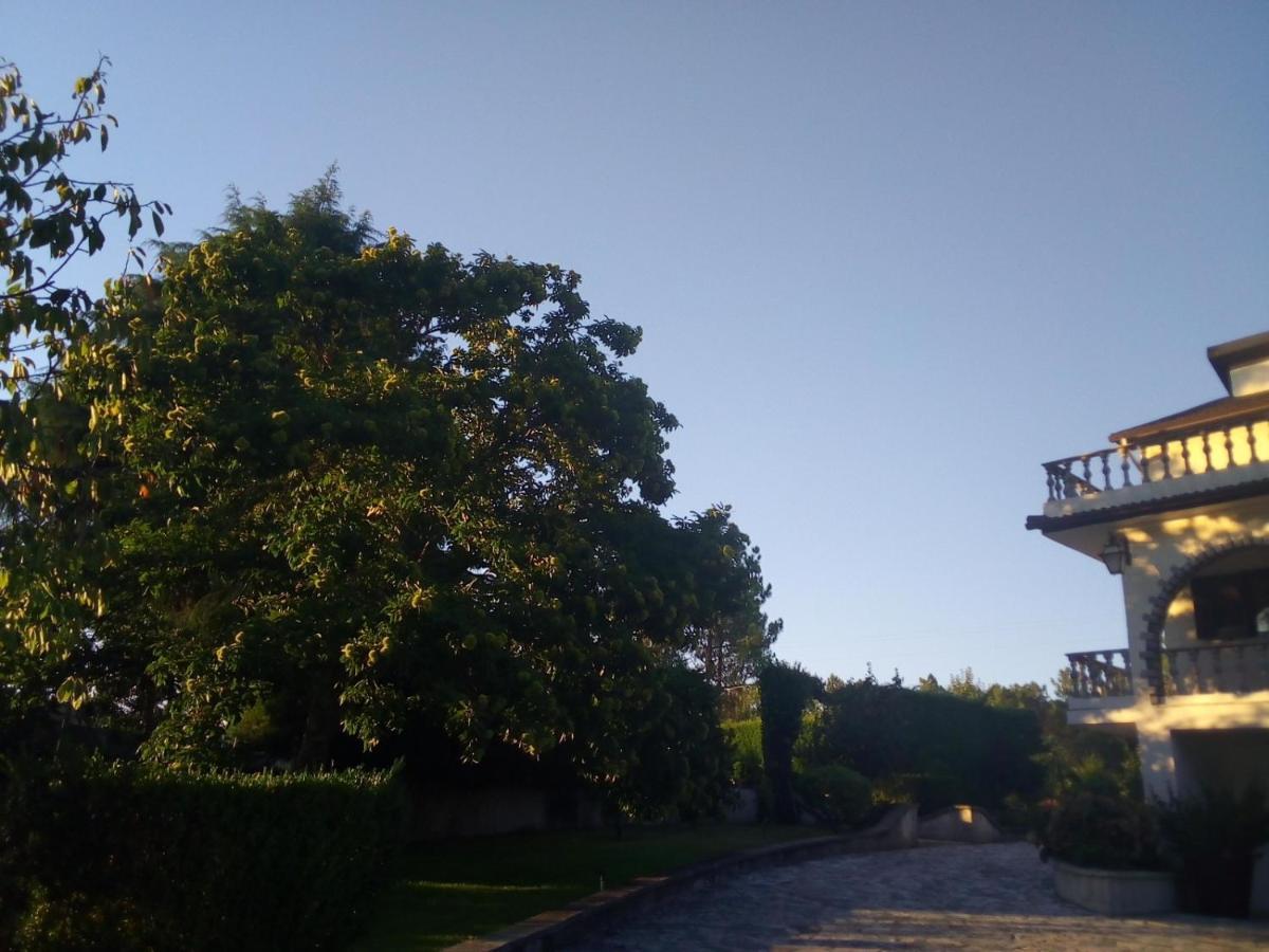 Villa Pinheirinhos - Quinta De Sao Caetano Carapito Exterior foto
