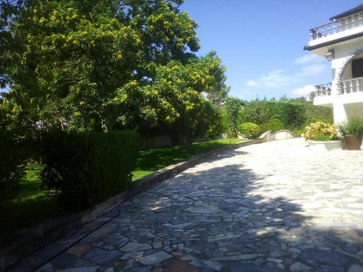 Villa Pinheirinhos - Quinta De Sao Caetano Carapito Exterior foto